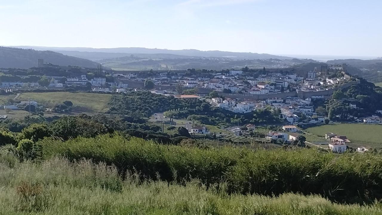 Quinta Do Oratorio Agroturismo Обідуш Екстер'єр фото