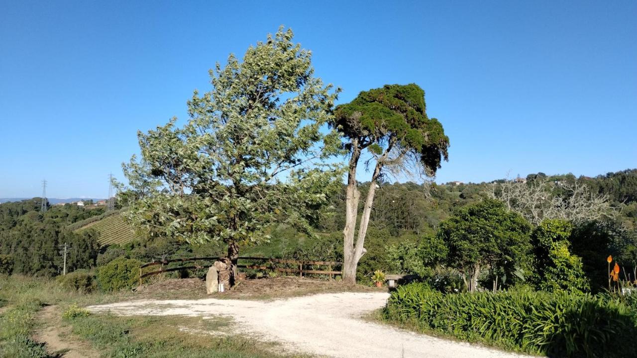 Quinta Do Oratorio Agroturismo Обідуш Екстер'єр фото