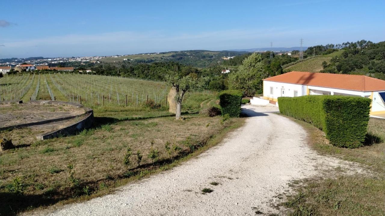 Quinta Do Oratorio Agroturismo Обідуш Екстер'єр фото